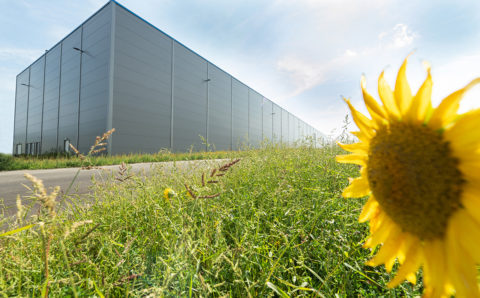 Nachhaltig geplant inklusive Photovoltaik-Anlage mit Speicher